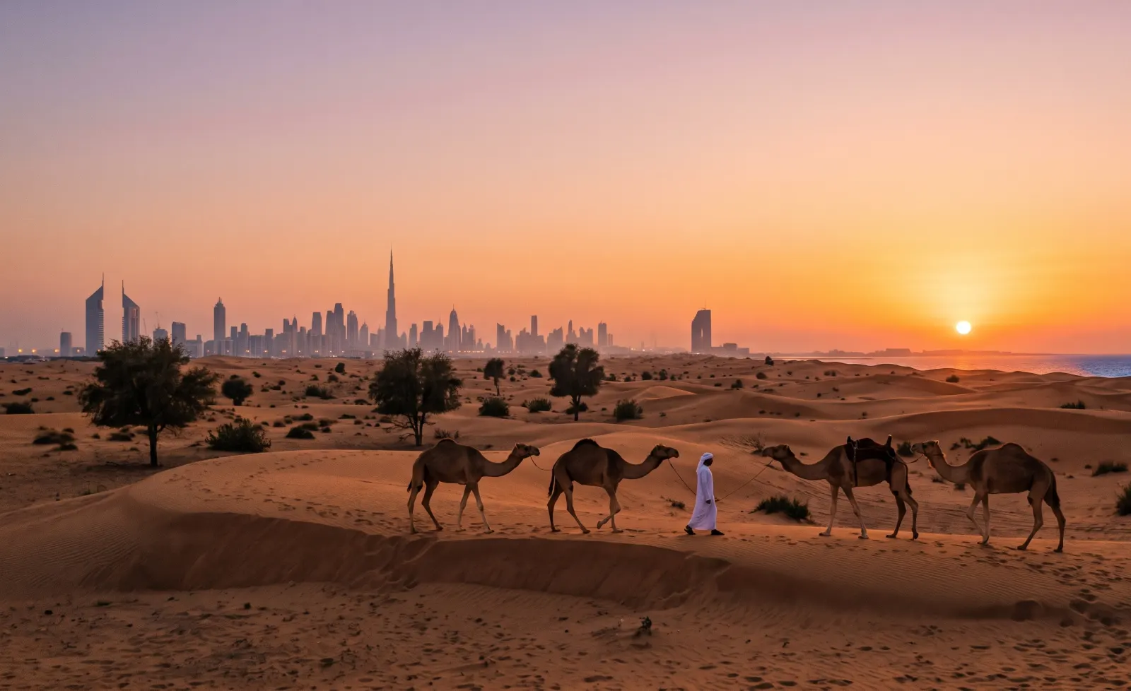 Scenic view of UNITED ARAB EMIRATES